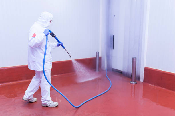 Paint Preparation in Clintwood, VA